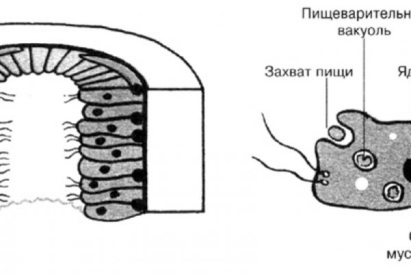 Ссылка на кракен лукойл