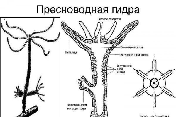 Ссылка на кракен свежая